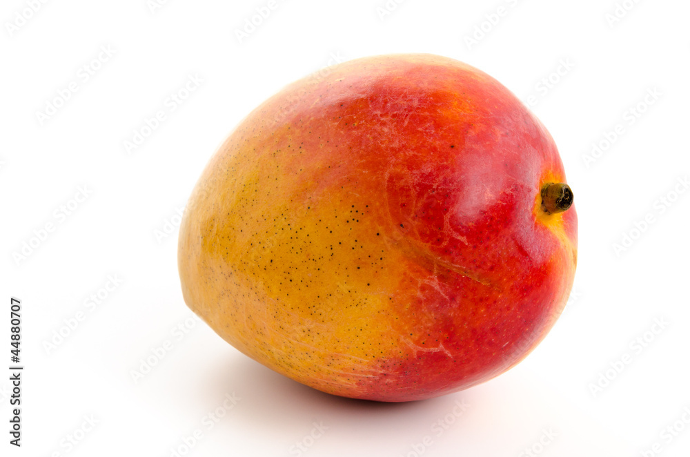Mango Mango