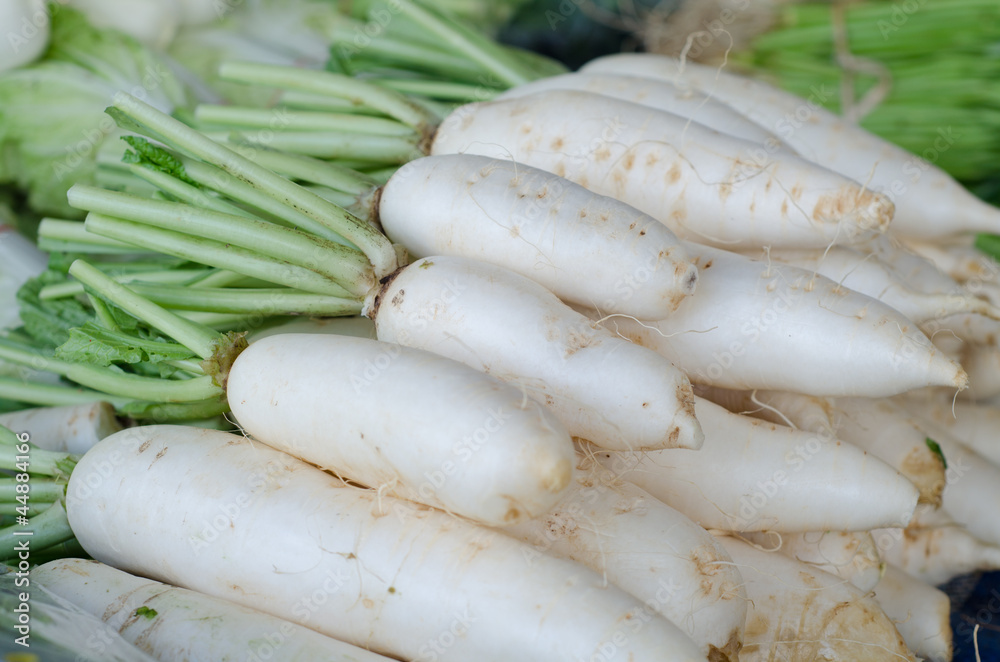 many white radishes are sold in fresh markets many white radishes are sold in fresh markets