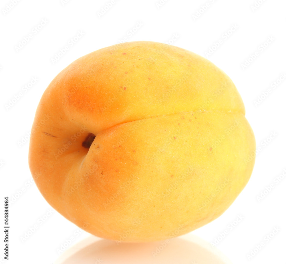 ripe sweet apricot isolated on white