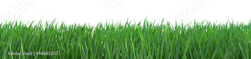 Isolated grass with path