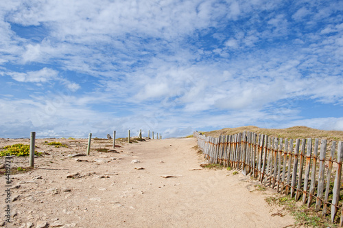 Trails in the dunes on the wild coast of Quiberon  Brittany