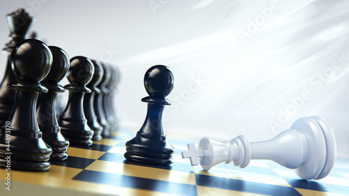 chess pieces on the board