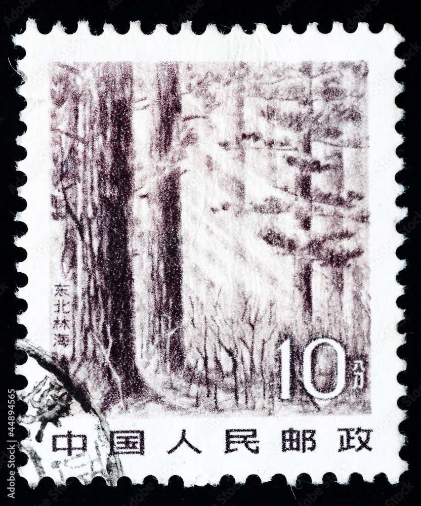 Obraz premium Stamp printed in China shows immense forest in the Northeast