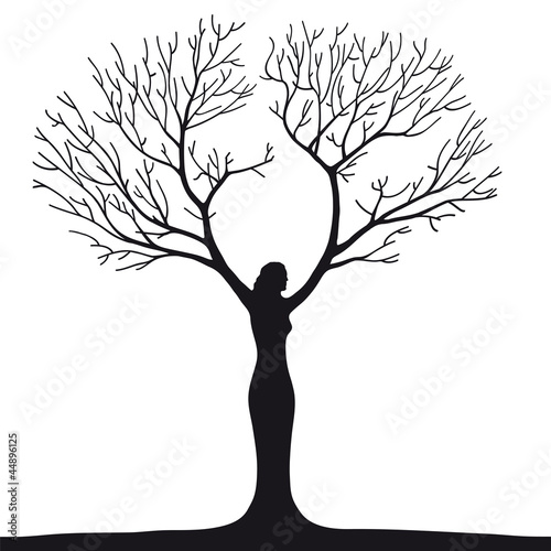 albero donna
