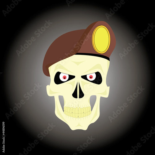 Military skull