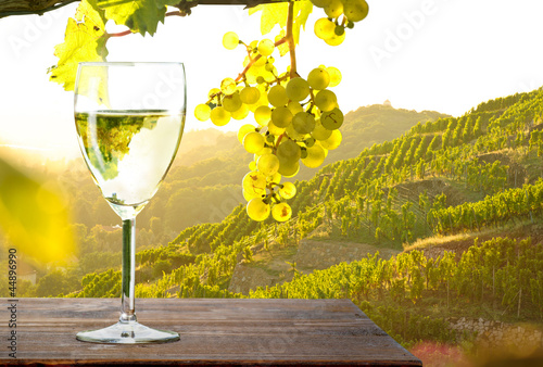 Weinglas bei Sonnenuntergang im Weinberg