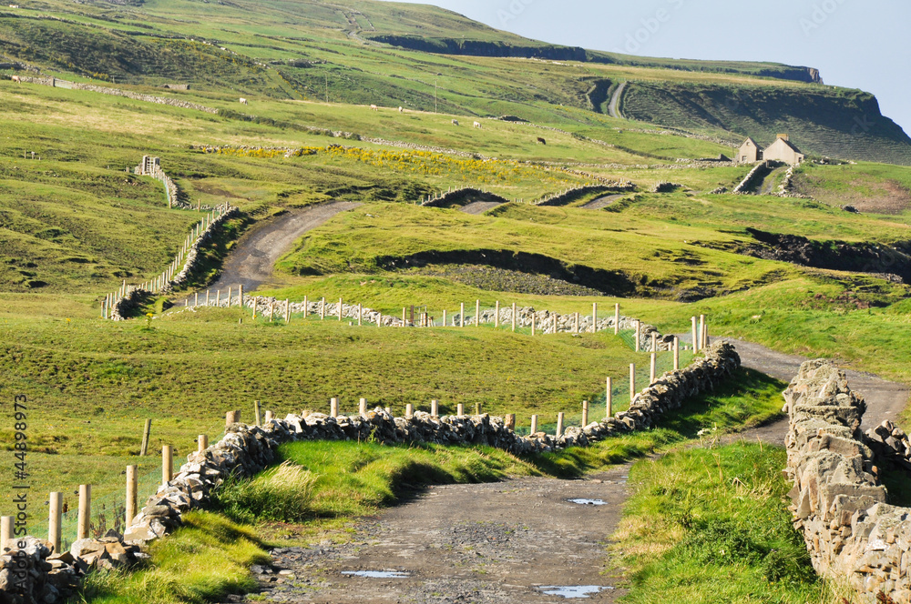 Irish Landscape, Co. Clare