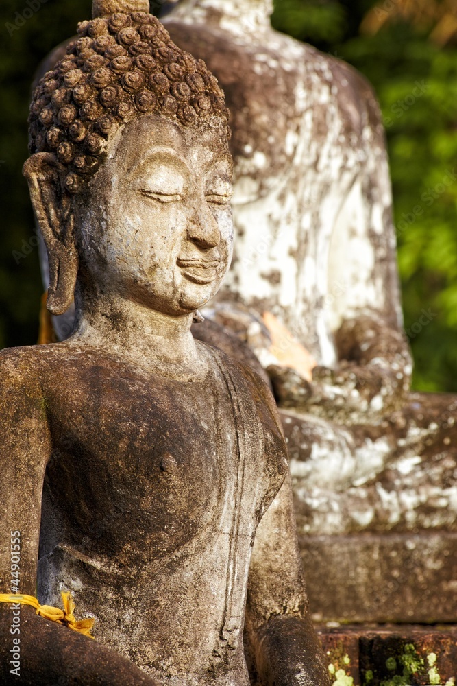 Obraz premium Close up buddha