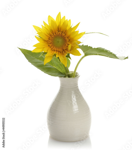 Fototapeta Naklejka Na Ścianę i Meble -  Sunflower In A Vase