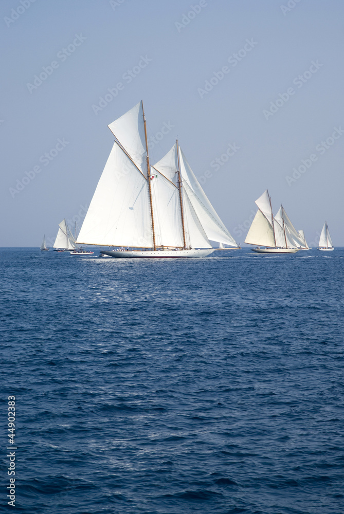 Classic yacht regatta