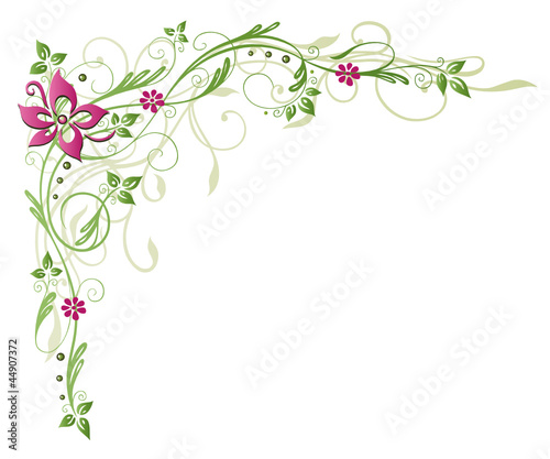 Ranke, flora, Blume, Blüte, border, frame, grün, rosa
