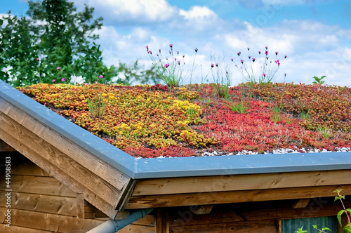 Dachflächenbegrünung © Stefan Körber