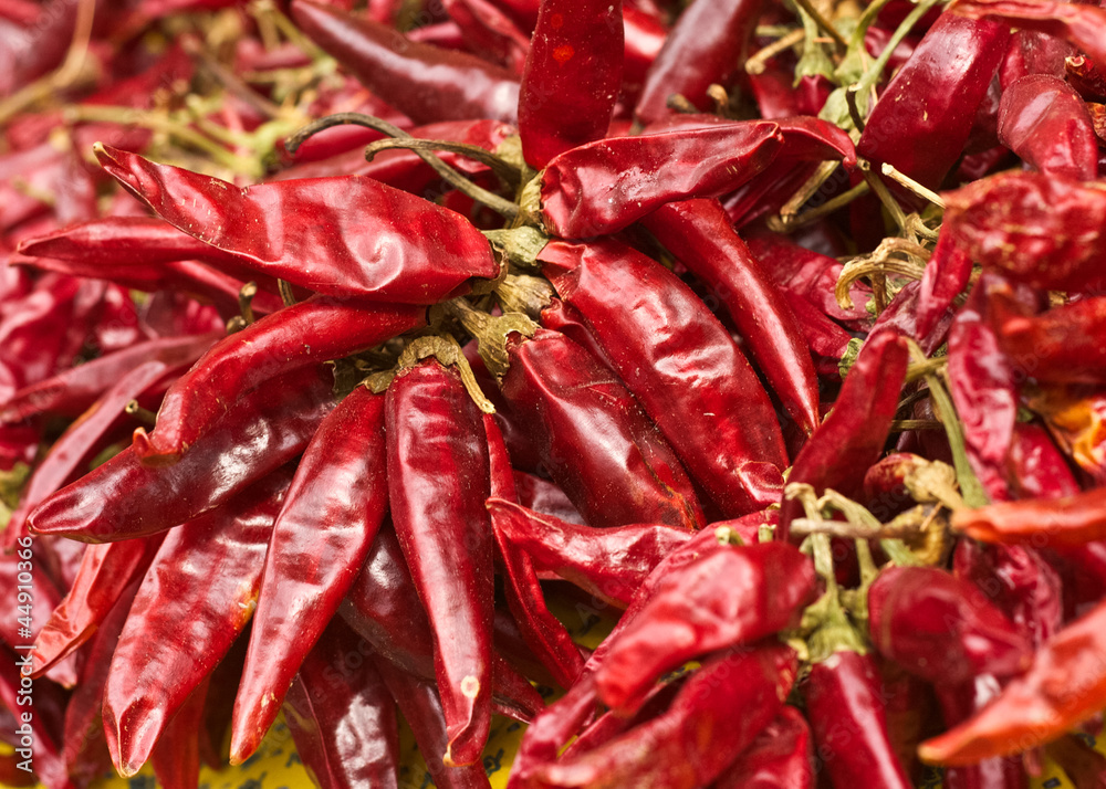 Hot Peppers Hot Peppers