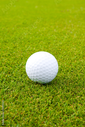 Golfball on the golf green