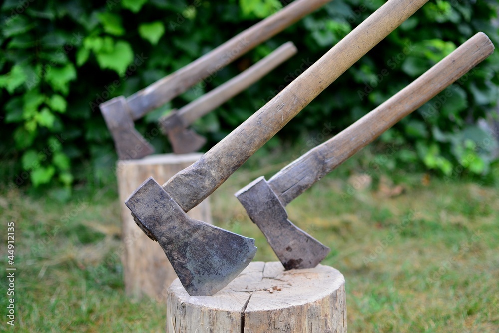 Fototapeta premium siekiera