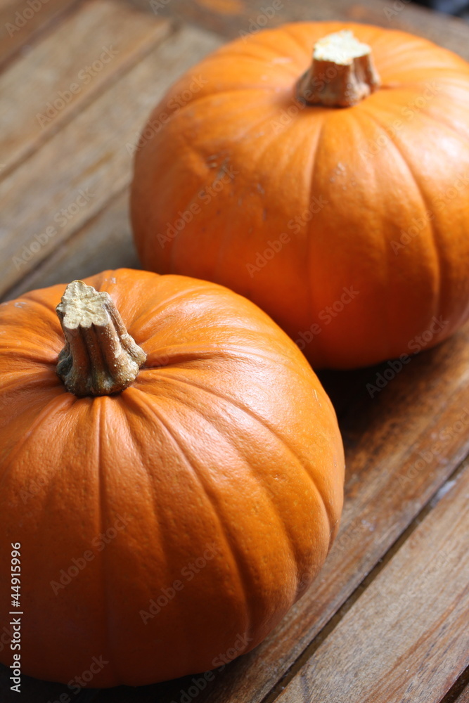 plain pumpkins plain pumpkins
