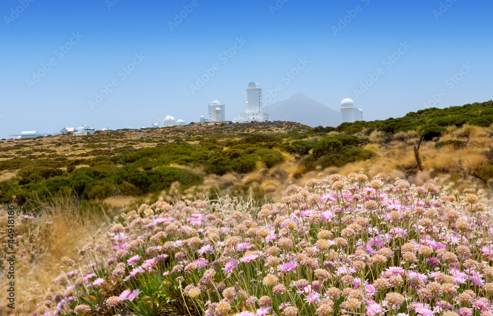 astronomy  observatory in Teide Izaña at Tenerife