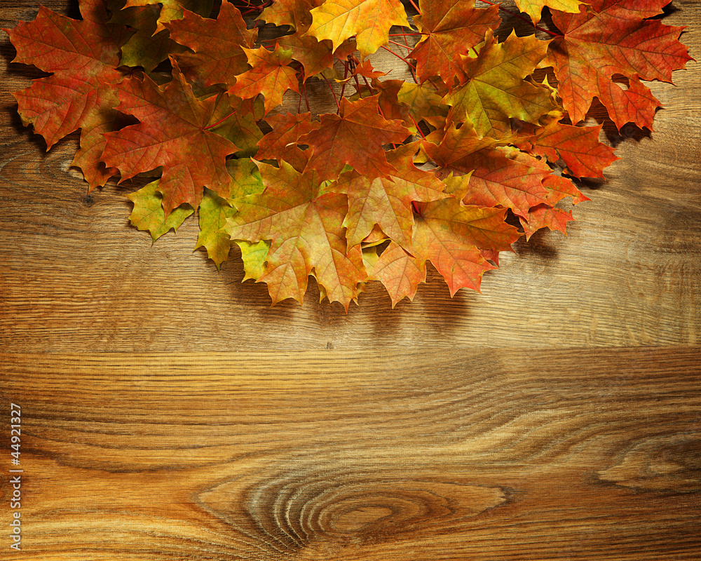 yellow wet autumn leaves on the background a dark old wood yellow wet autumn leaves on the background a dark old wood