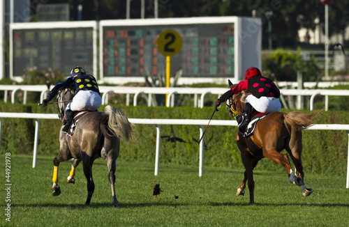 Horse racing © angelmaker