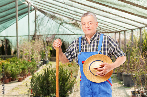 Fotografija Male worker holding a shovel and posing in a hothouse