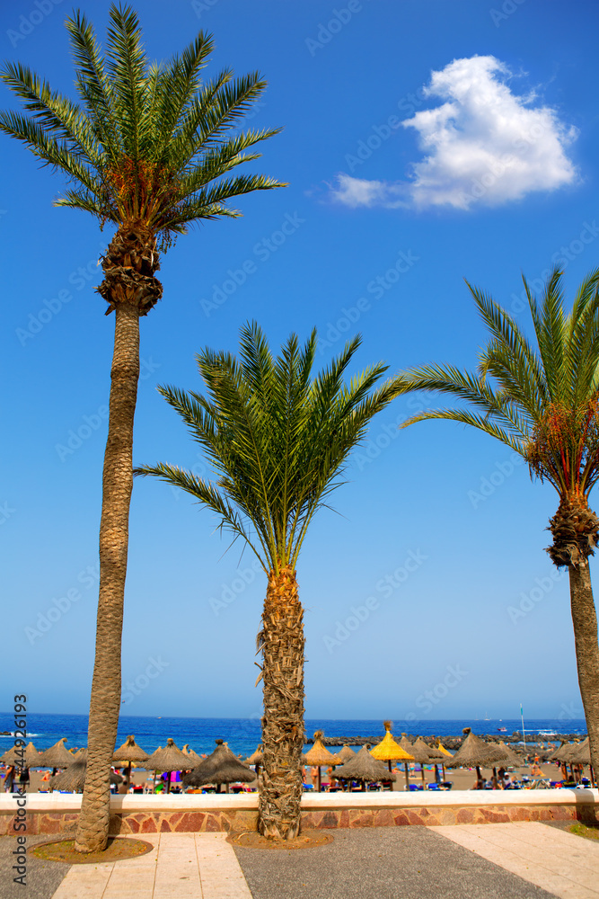 Fototapeta premium Adeje coast Las americas beach in south Tenerife