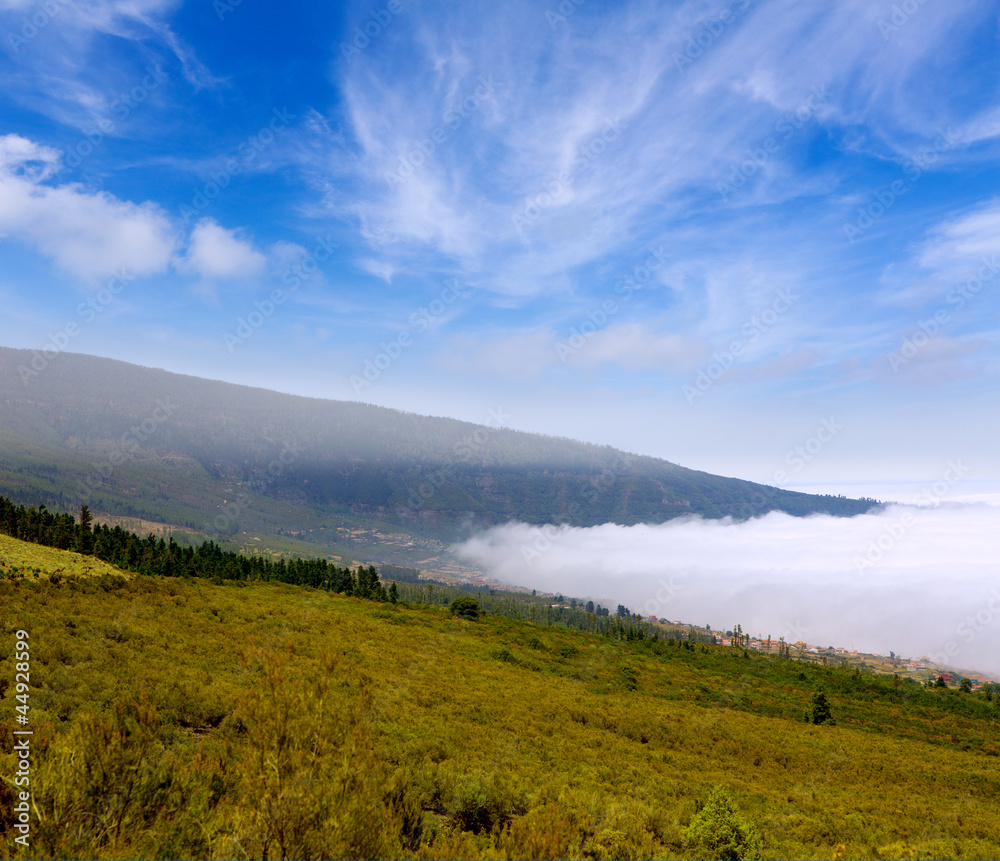 Orotava valley with sea of clouds in Tenerife mountain