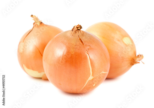 Wallpaper Mural Fresh onions Torontodigital.ca