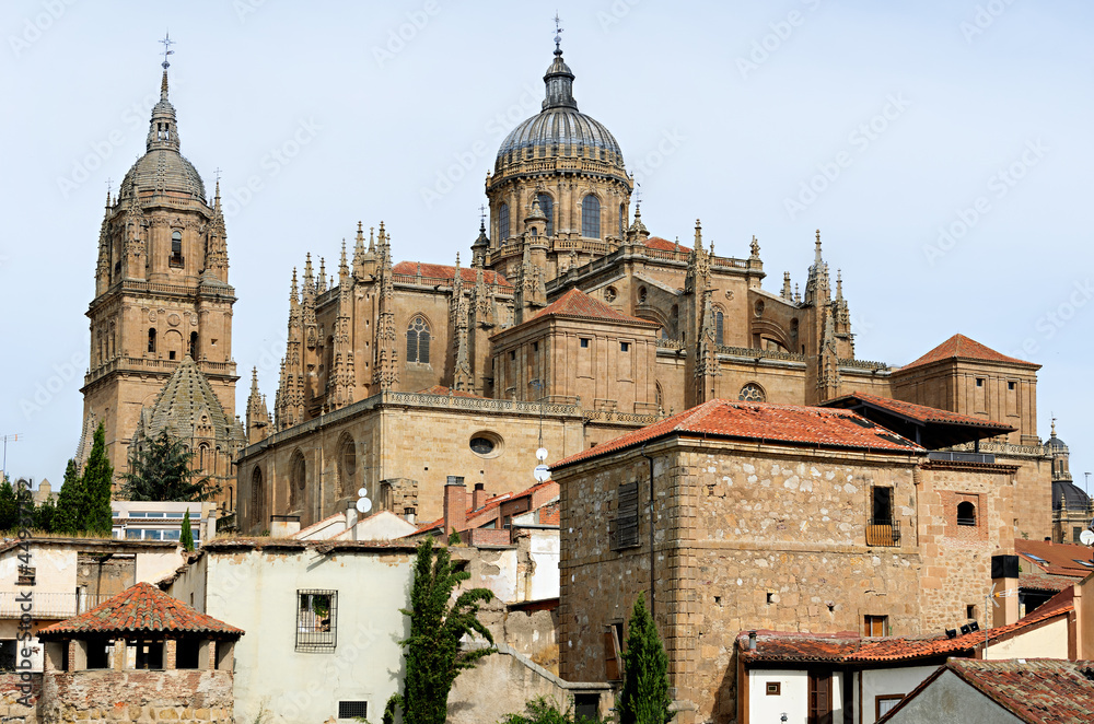 rooftops and Cathedral of Salamanca, Spain