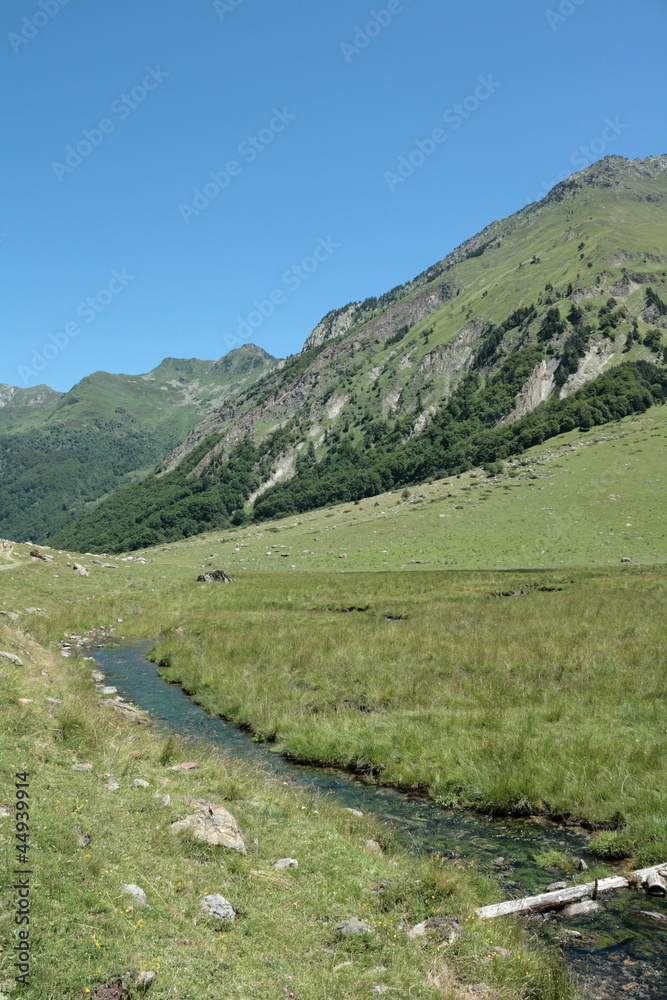 Fototapeta premium Vallé d'Orlu,Midi-Pyrénées