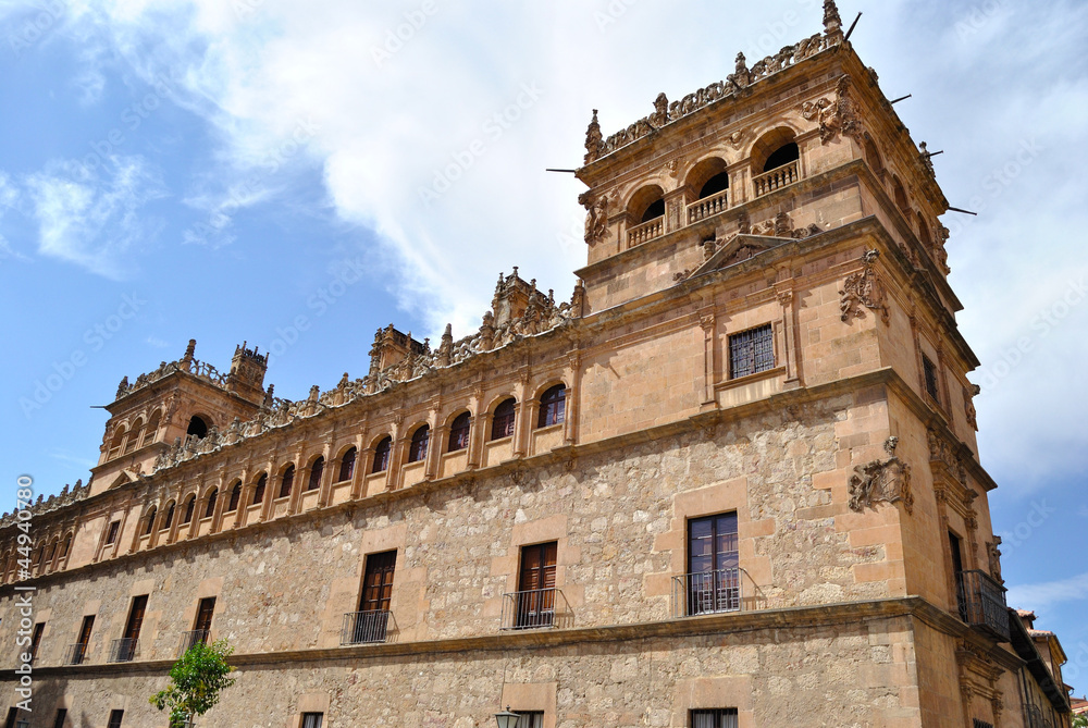 The Monterrey Palace of Salamanca
