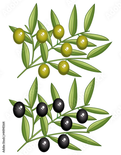Black and green olives branches. Icons set.
