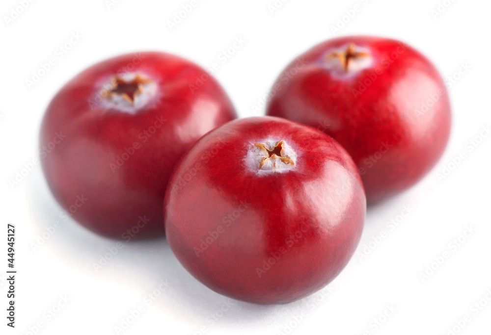 Fresh cranberry