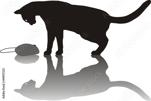 Cat hunts a computer mouse