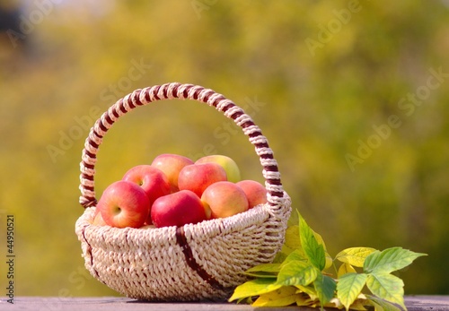 Apples in the Basket