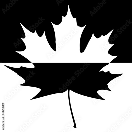 Shadowed Maple Leaf Silhouette