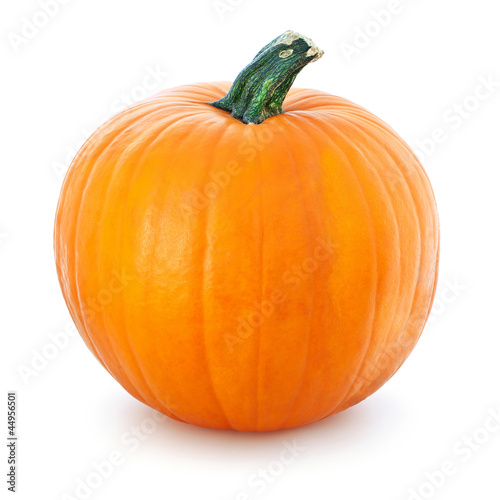 Big yellow pumpkin  on a white background.