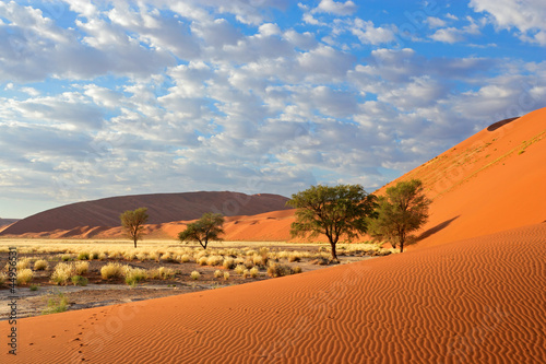 Obraz w ramie Sossusvlei landscape