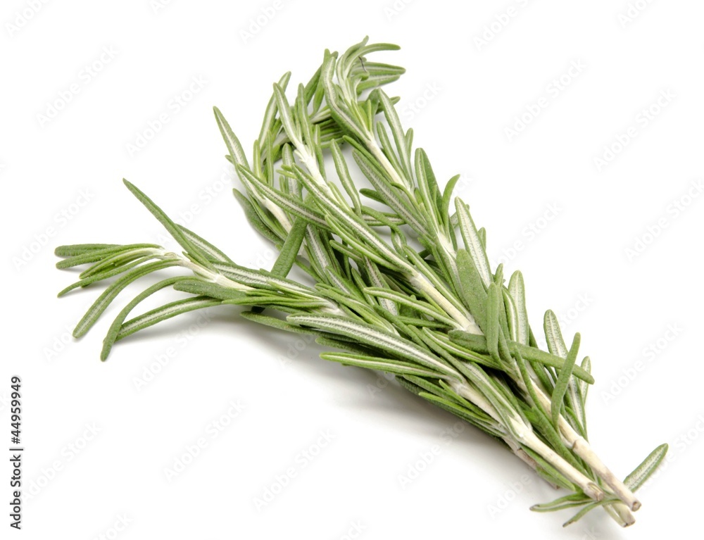 Fototapeta premium Romero