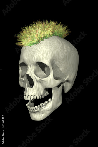 Skull