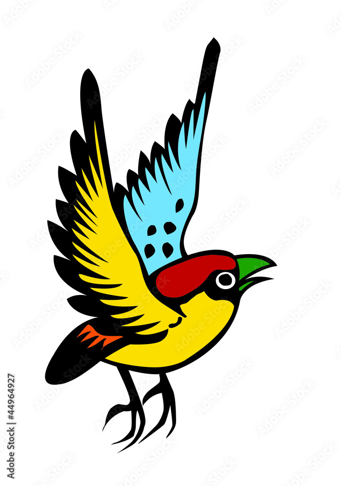colorful of a little bird colorful of a little bird