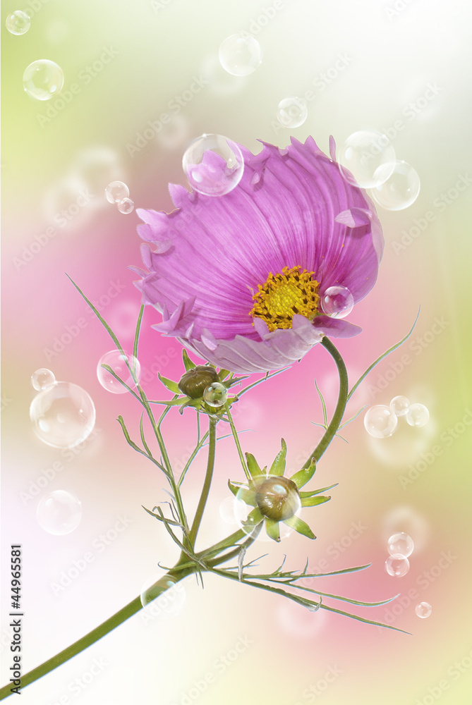 Naklejka premium Flowers decorative beautiful holidays card