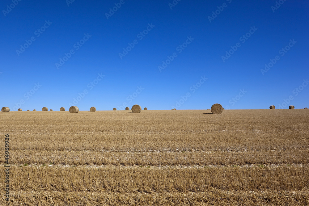 straw bales and blue skies