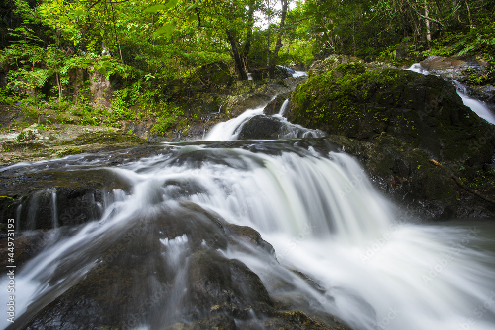 Fototapeta premium wonderful waterfall