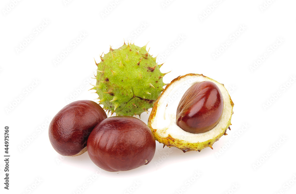 chestnuts