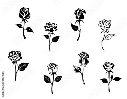 Rose flowers #44979505