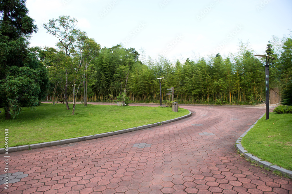 Obraz premium path