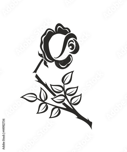 rose 1709a