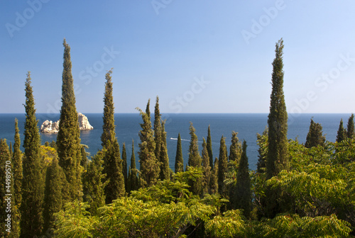 Landscape with cypress grove in the foreground