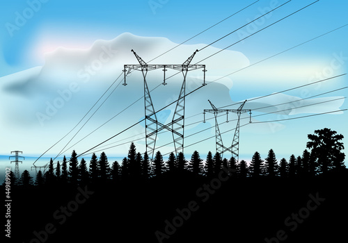 power line in blsck forest