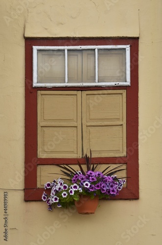 Blumenfenster